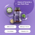 Ácido Alfa Lipoico 100 % puro