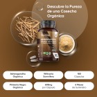 Ashwagandha orgánica en cápsulas