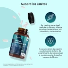 Beneficios de los comprimidos de Creatina