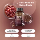 Extracto de Semilla de Uva francesa con 95 % de OPC