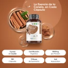 Propiedades de las cápsulas de Canela de Ceilán