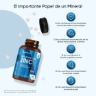 Beneficios del Zinc según EFSA