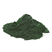 image of Chlorella which is a true superfood and is actually an amazing algae