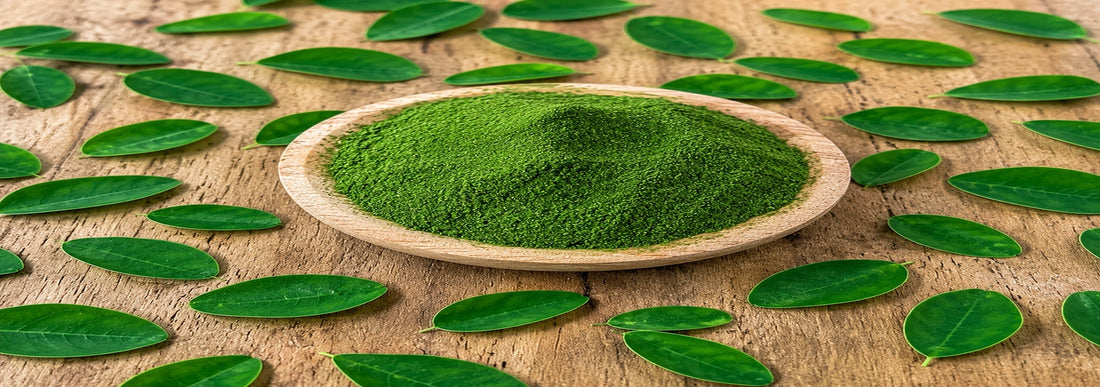 Moringa en polvo