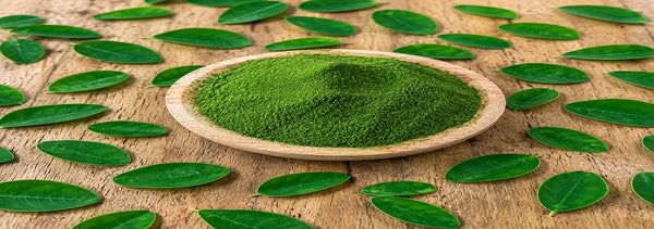Moringa: El Multivitamínico Natural que Crece en un Árbol