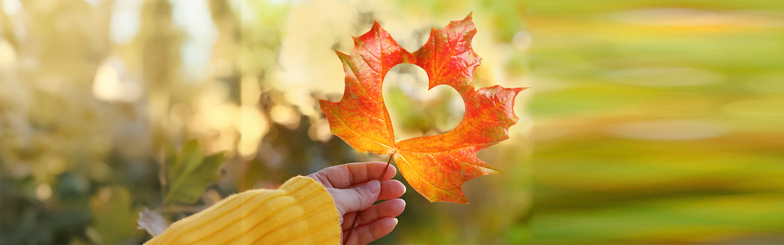 Caída de hojas en otoño