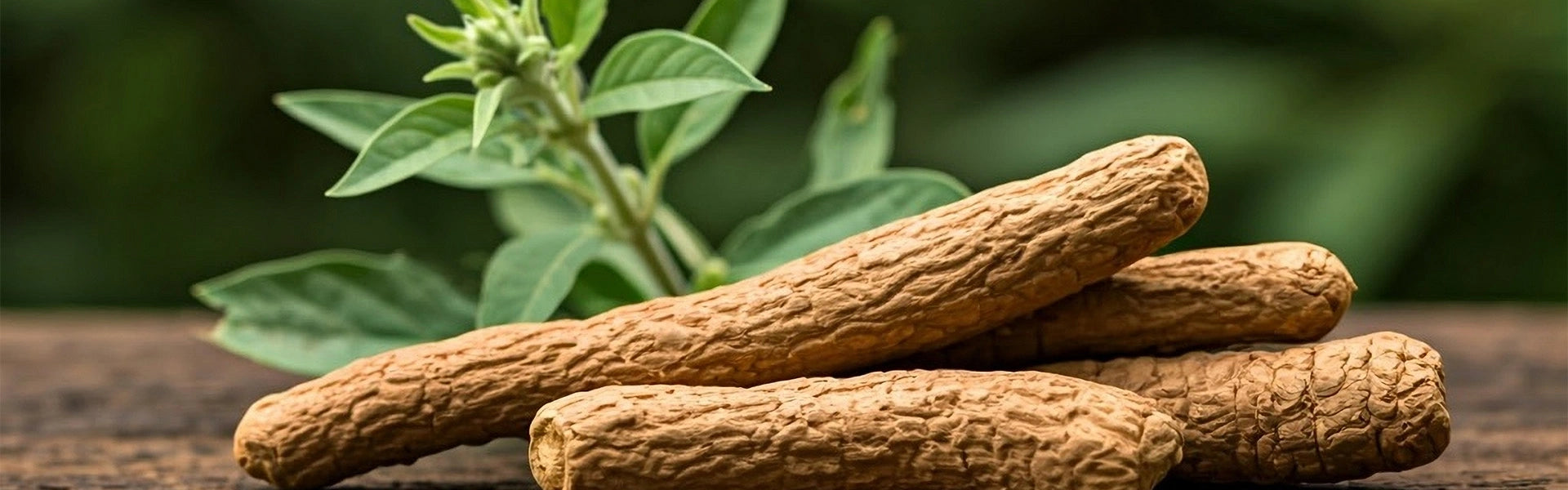 Ashwagandha: El Superalimento Natural para el Estado de Ánimo, Energía y Bienestar