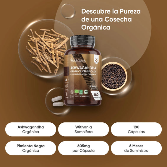 Ashwagandha orgánica en cápsulas