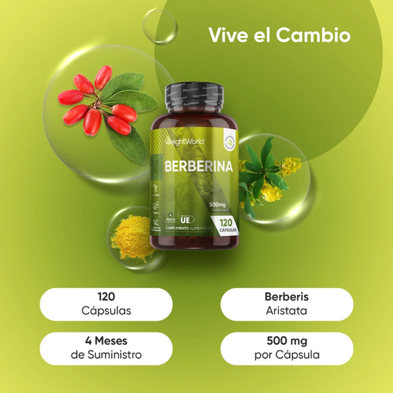 Berberina 120 cápsulas