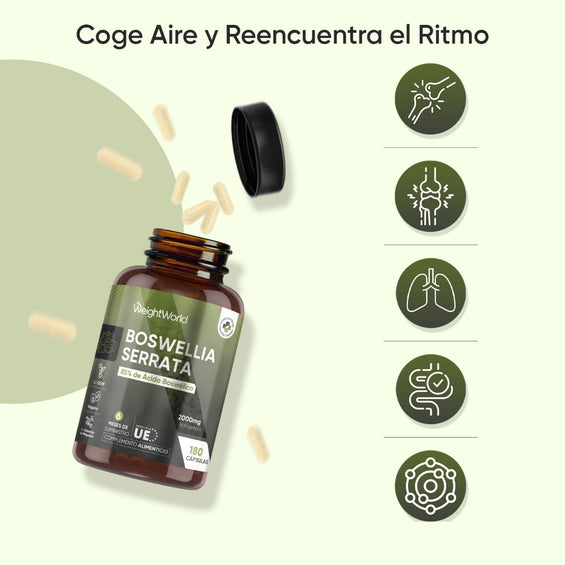 Suplemento 85 % Ácido Boswélico