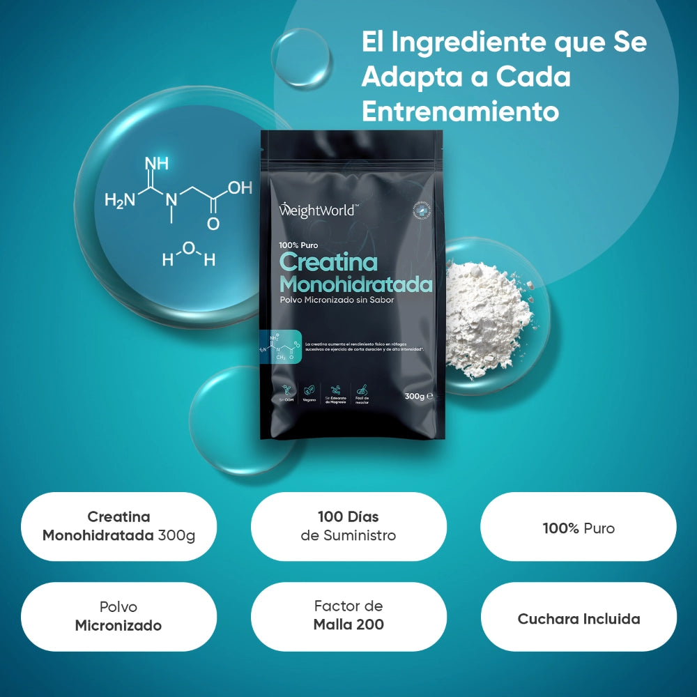 creatine-monohydrate-300g-es-2