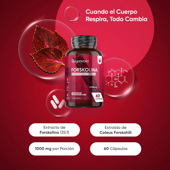 Forskolina para vida activa