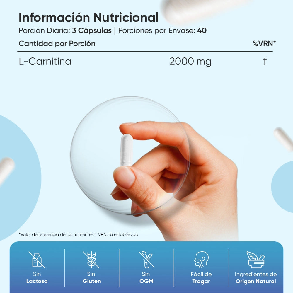 L-Carnitina - 2000 mg 120 cpsulas - WeightWorld L-Carnitina - 2000 mg 120 cpsulas - WeightWorld