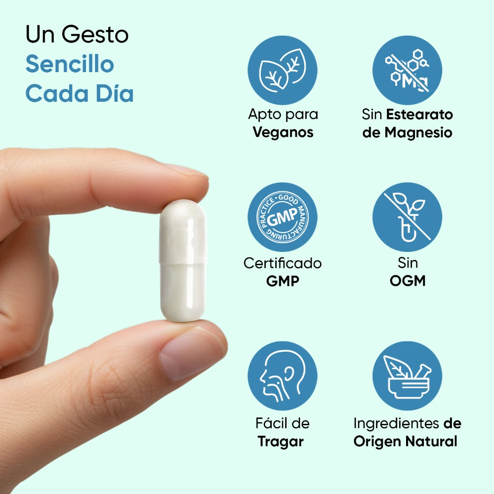 Suplemento aminoácidos L-Teanina