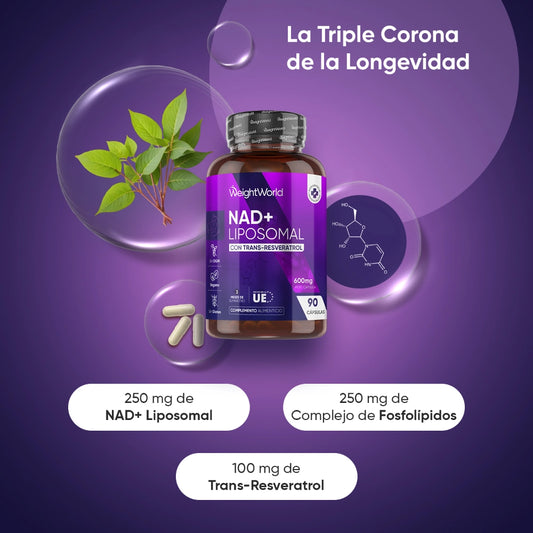 Propiedades del NAD+ liposomal