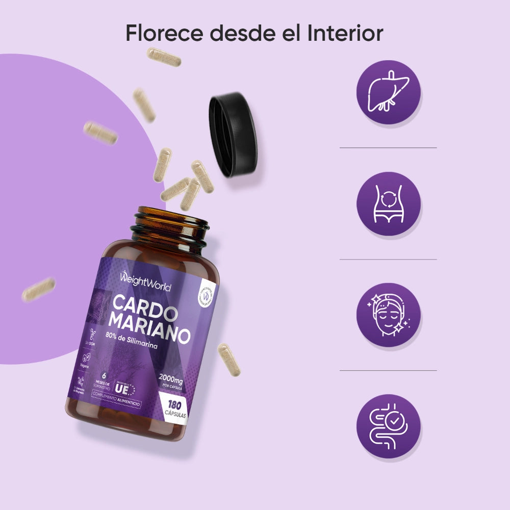 Beneficios del Cardo Mariano