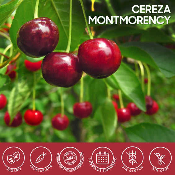 mm-montmorency-cherry-es-5