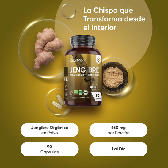 Suplemento de Jengibre BIO