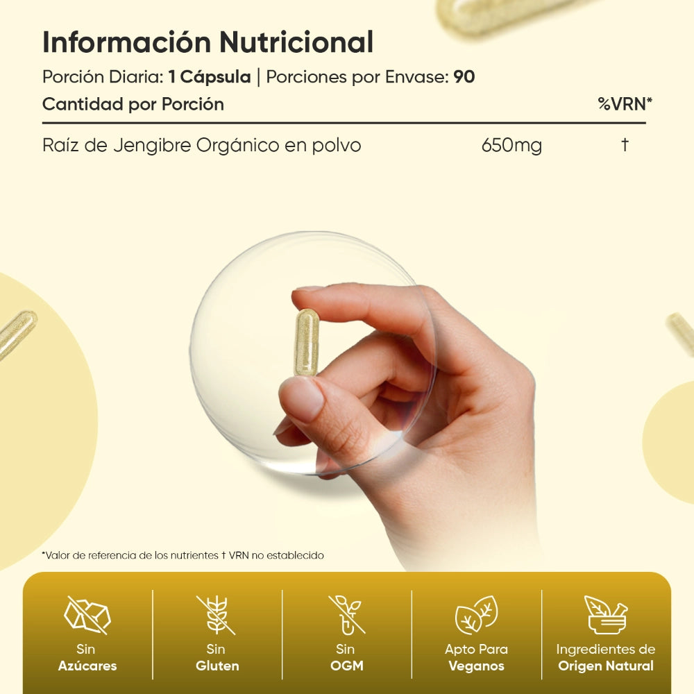 Información nutricional suplemento de Jengibre