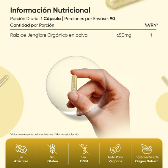 Información nutricional suplemento de Jengibre