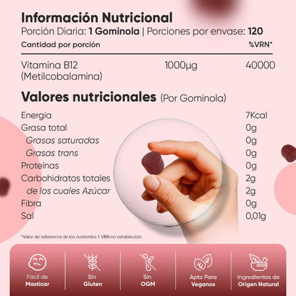 Información Nutricional gominolas B12 veganas