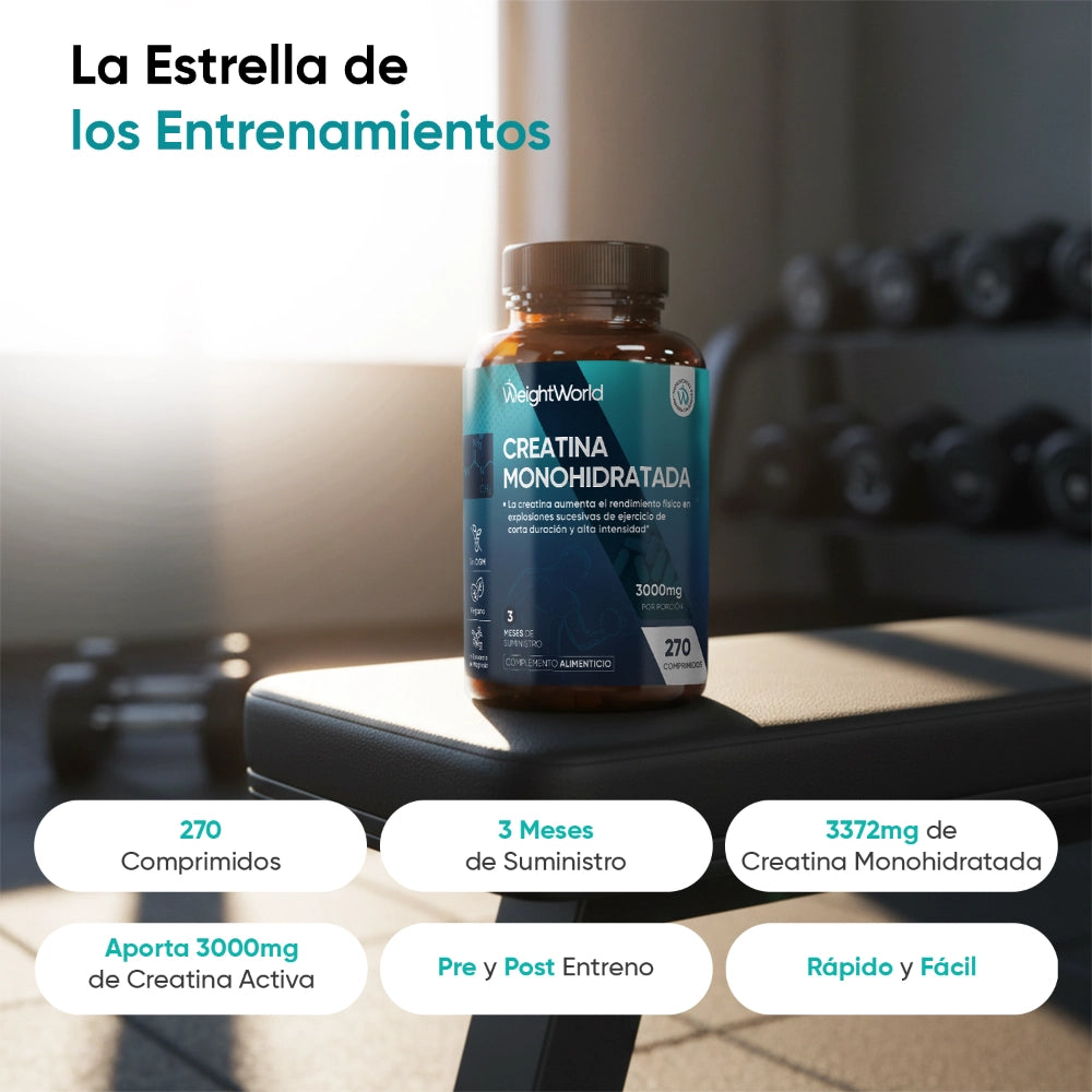 Propiedades del suplemento de creatina