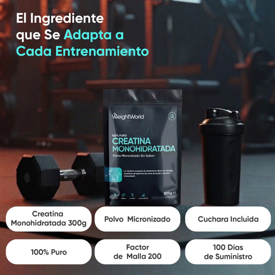weightworld-es-creatine-monohydrate-micronised-unflavoured-powder-300g-powder-01