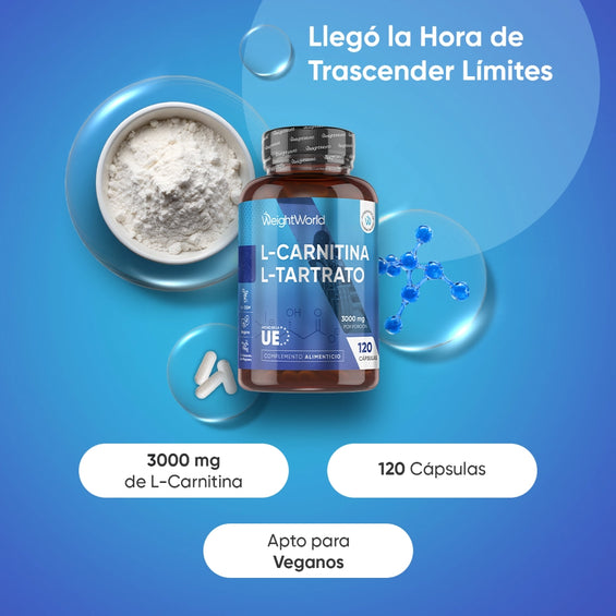 l carnitina pisa dosis L-Carnitina L-Tartrato in-stock-8809579275268 Nexus Pharma Glutanex Glutathione Size:100mg / 60 Capsules