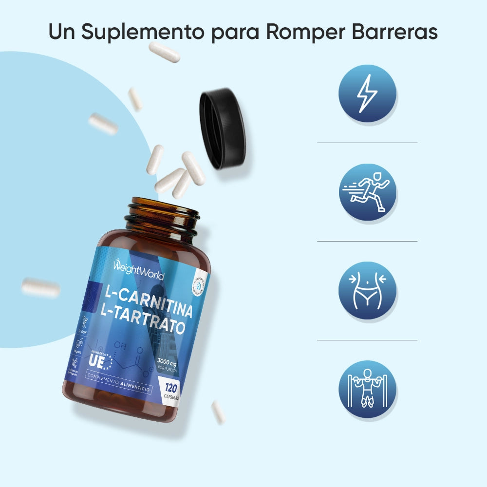 l carnitina cuando se debe tomar L-Carnitina L-Tartrato sunscreen for melasma igf-1 lr3 bodybuilding dosing Weight:1 lb (454 g)