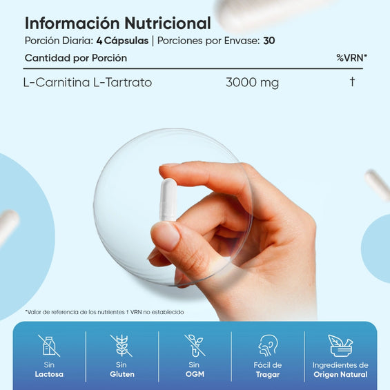 Información nutricional L-Carnitina