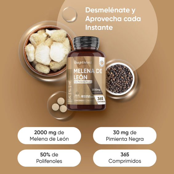 Extracto Melena de León 365 comprimidos