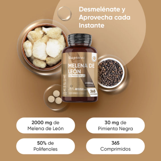 Extracto Melena de León 365 comprimidos