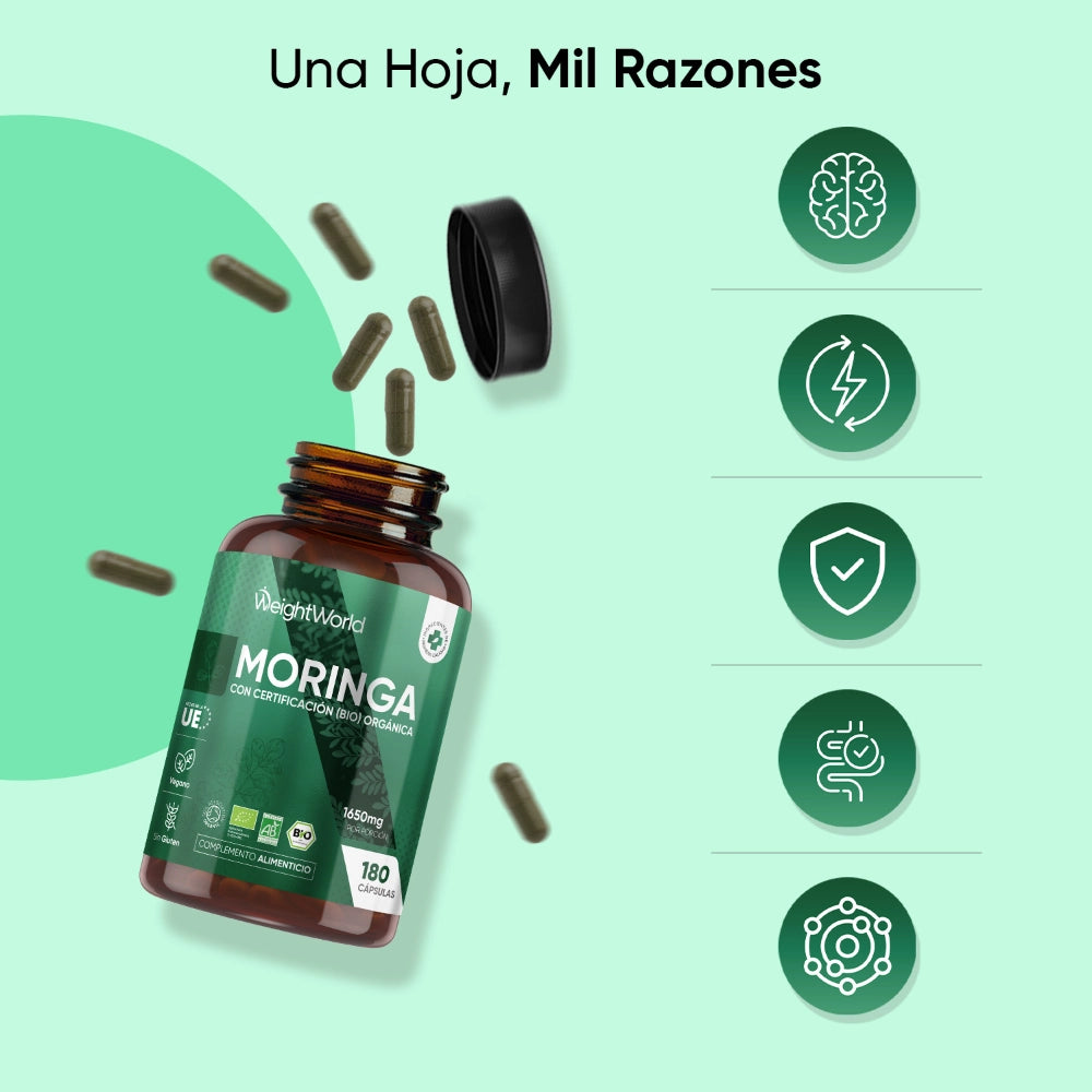 Beneficios de la Moringa