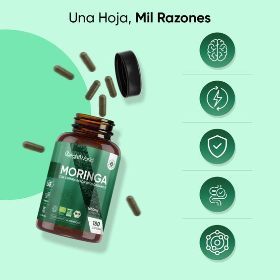 Beneficios de la Moringa
