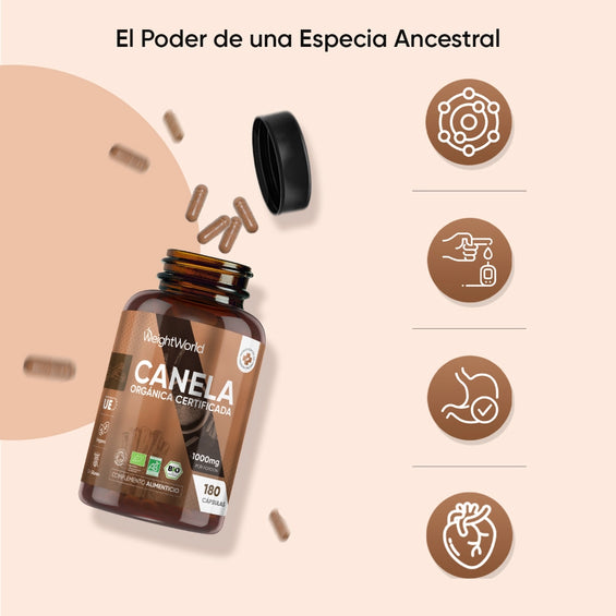 Beneficios de las cápsulas de canela orgánica