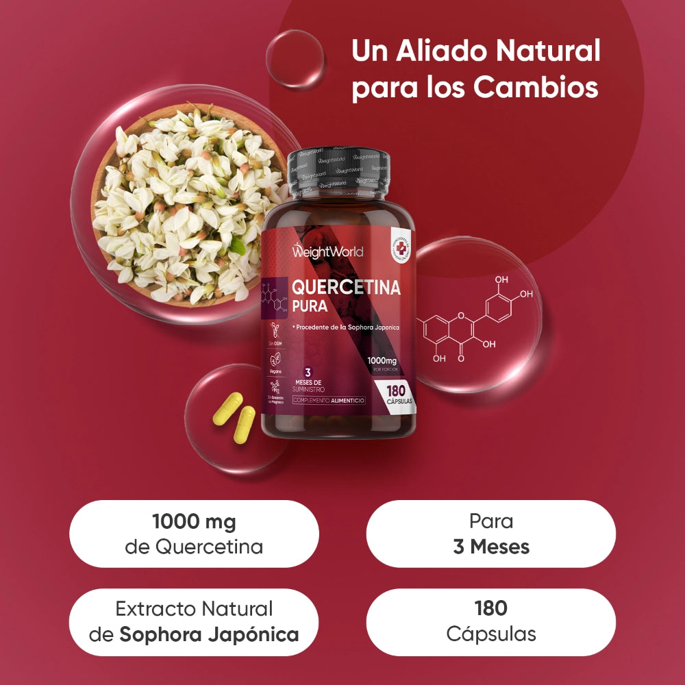 Quercetina pura 1000 mg