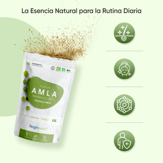 Beneficios del Amla en polvo
