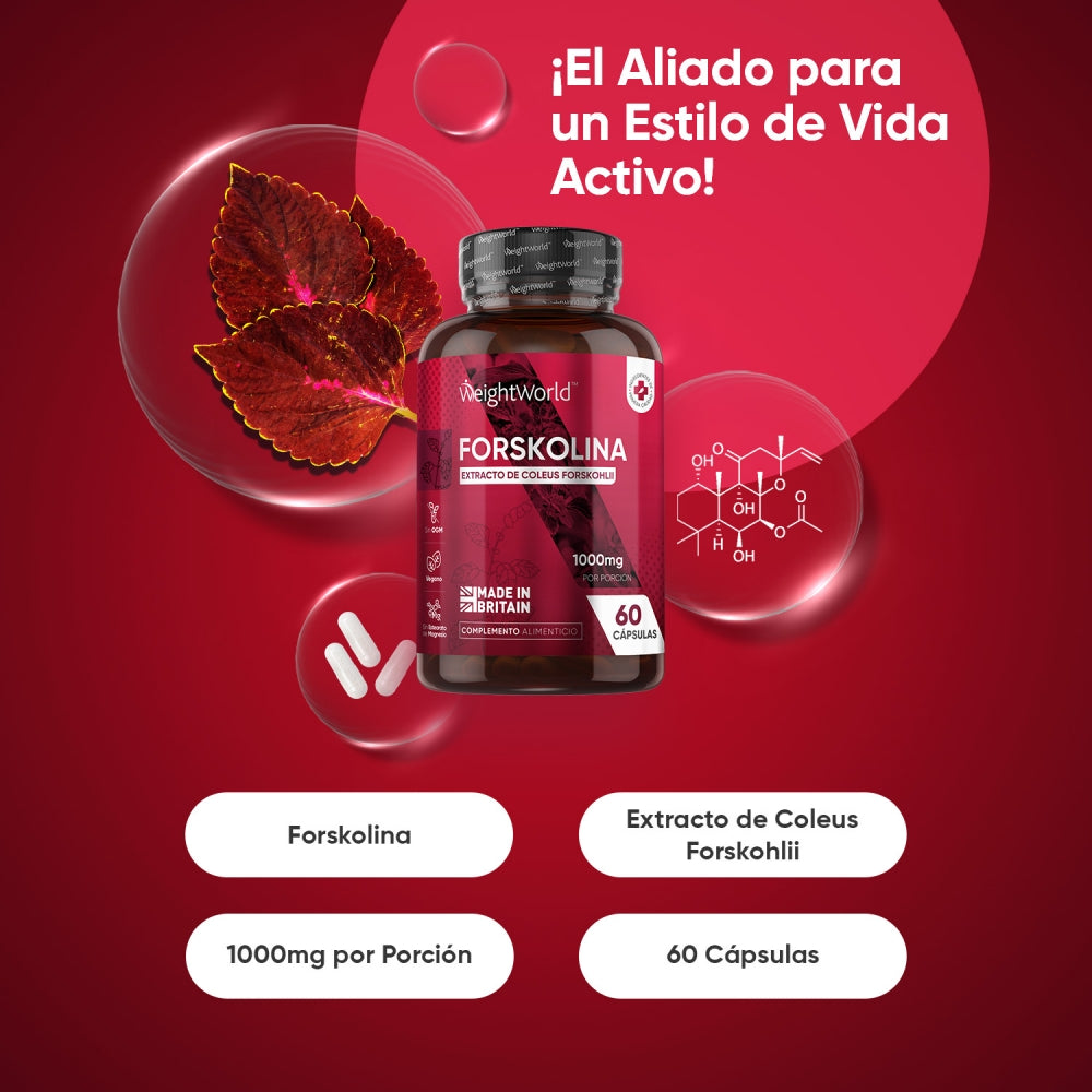 Forskolina para vida activa