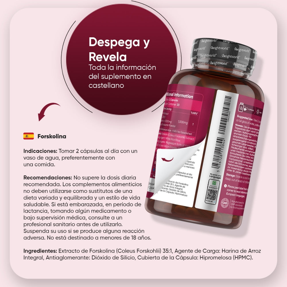 Extracto de Coleus Forskohlii (Forskolina)