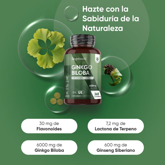 Ingredientes de los comprimidos de Ginkgo