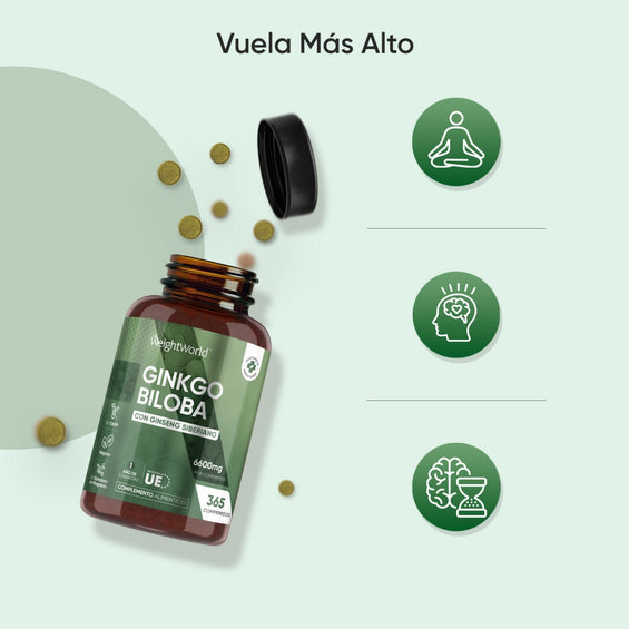 Ginkgo Biloba para la concentración y memoria