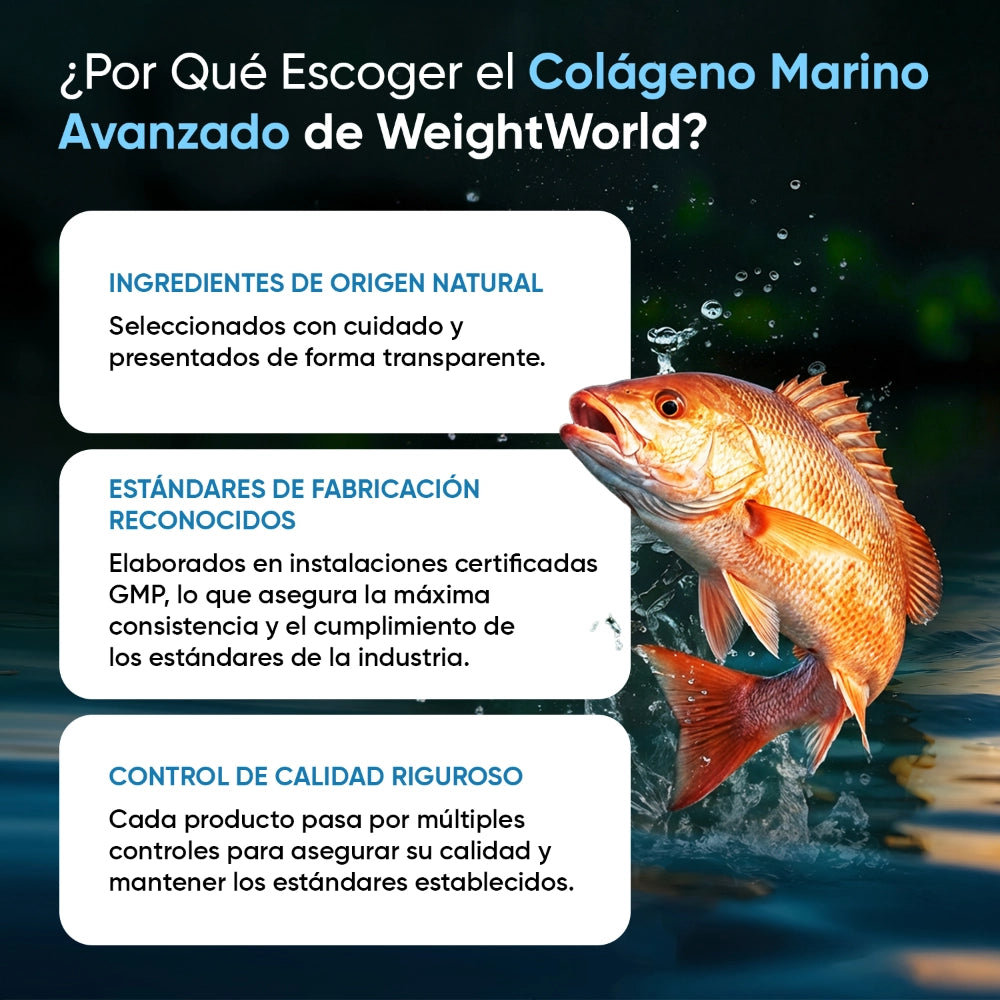 Información nutricional Colágeno Marino con Ácido Hialurónico