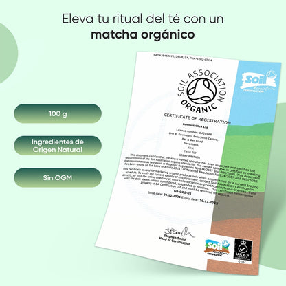 Té Matcha en polvo orgánico 100 g